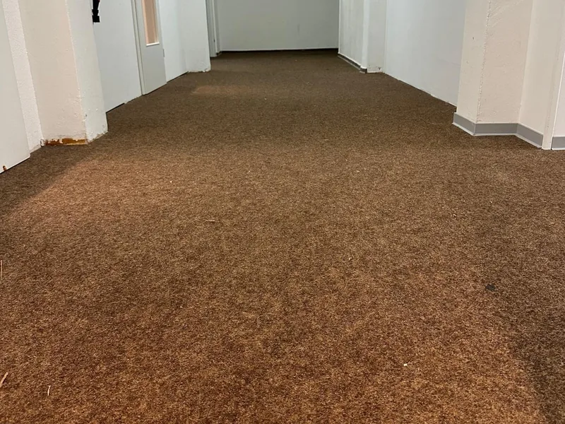 Leergeräumter Flur mit Teppichboden